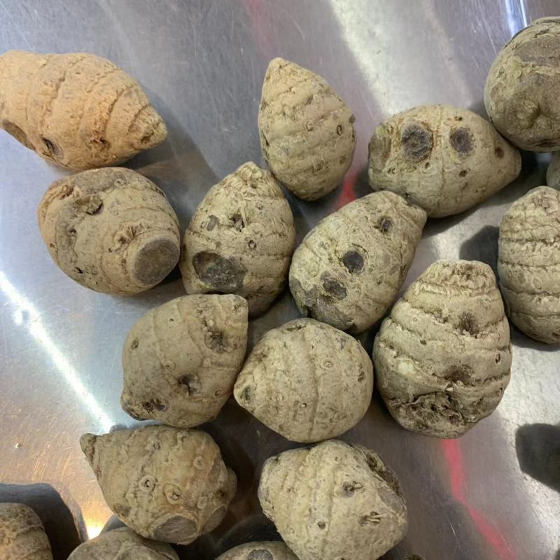 血三七大货批发云南文山血三七
