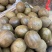 罗汉果整果大罗汉果花果罗汉果茶汉果花茶散装批发特大个