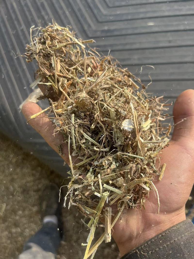 河南优质精品花生秧粉碎出尘二次加压保质保量