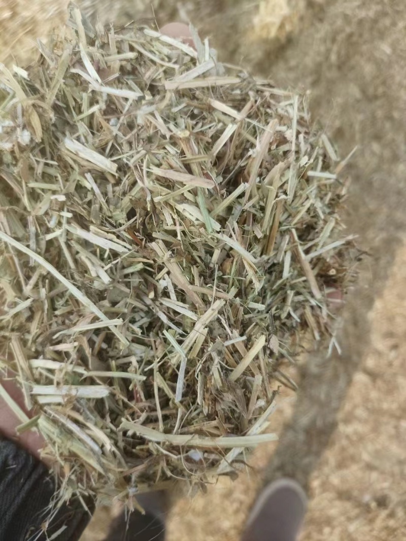 河南优质精品花生秧粉碎出尘二次加压保质保量