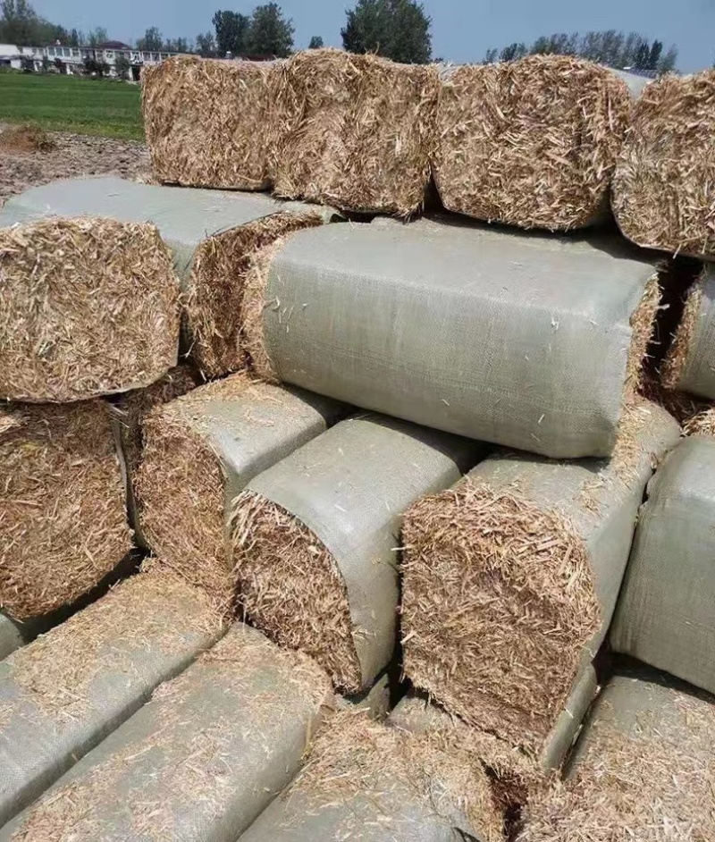 河南优质精品花生秧粉碎出尘二次加压保质保量