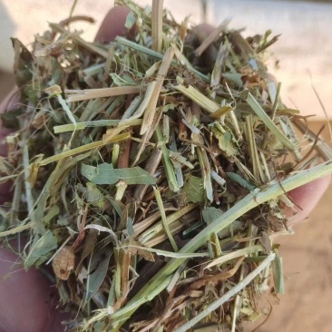 河南优质精品花生秧粉碎出尘二次加压保质保量