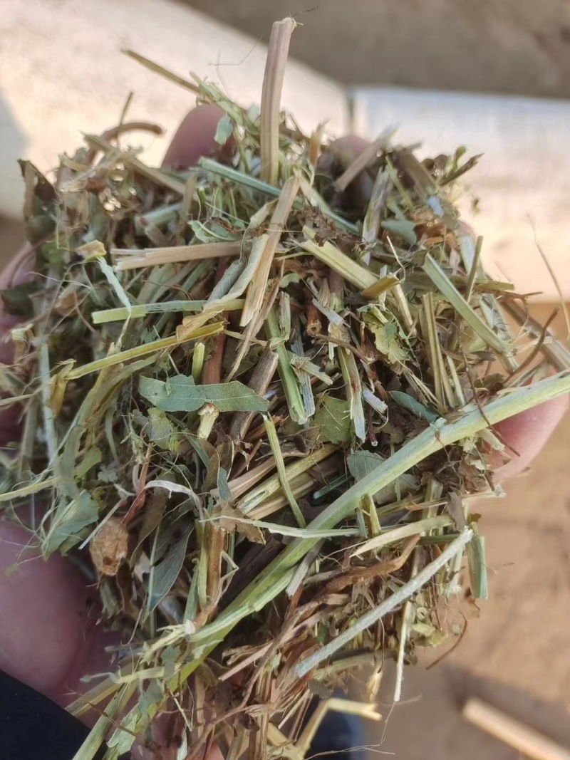 河南优质精品花生秧粉碎出尘二次加压保质保量
