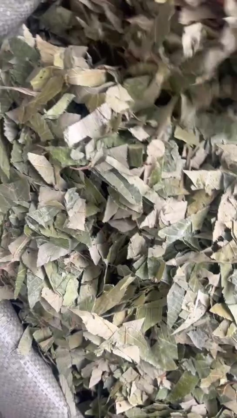 淫羊藿炙羊霍云南淫羊藿一件代发量大从优