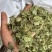 淫羊藿炙羊霍云南淫羊藿一件代发量大从优