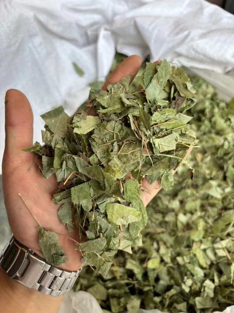 淫羊藿炙羊霍云南淫羊藿一件代发量大从优