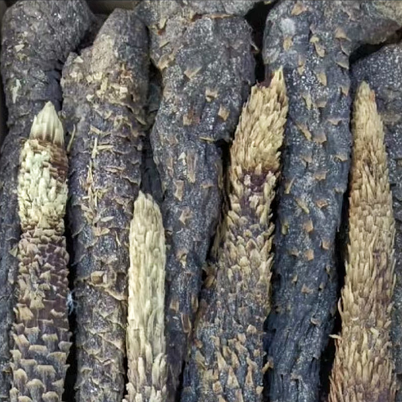 肉苁蓉软质新疆和田特产泡水泡茶软制料包邮批发