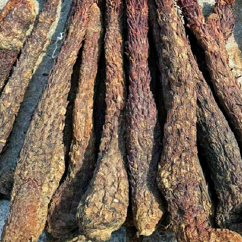 肉苁蓉软质新疆和田特产泡水泡茶软制料包邮批发