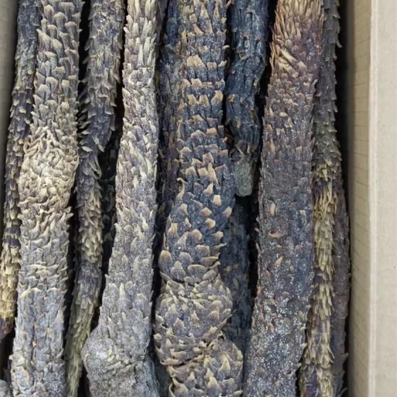 肉苁蓉软质新疆和田特产泡水泡茶软制料包邮批发
