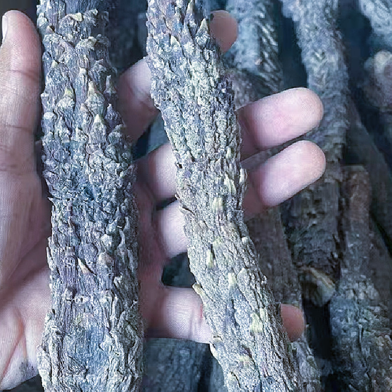 肉苁蓉软质新疆和田特产泡水泡茶软制料包邮批发