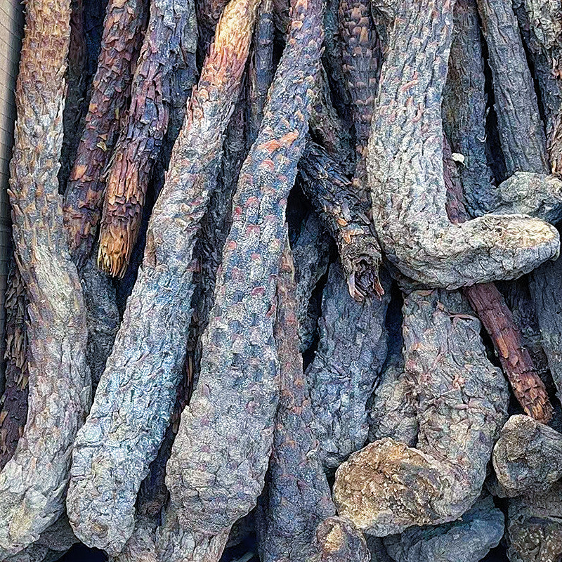 肉苁蓉软质新疆和田特产泡水泡茶软制料包邮批发