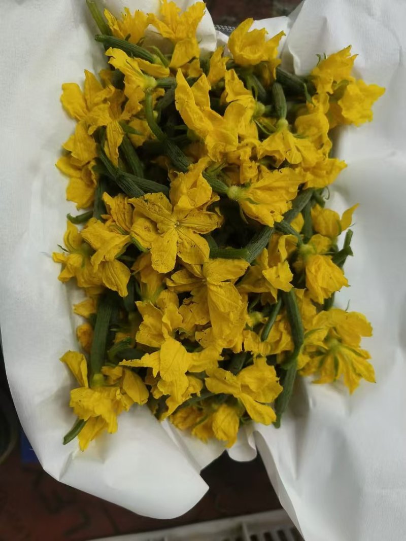 黄瓜花山东优质黄瓜花产地直发对接全国市场电商