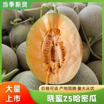西州蜜25号十万亩基地货源充足民勤产地直发质量保证