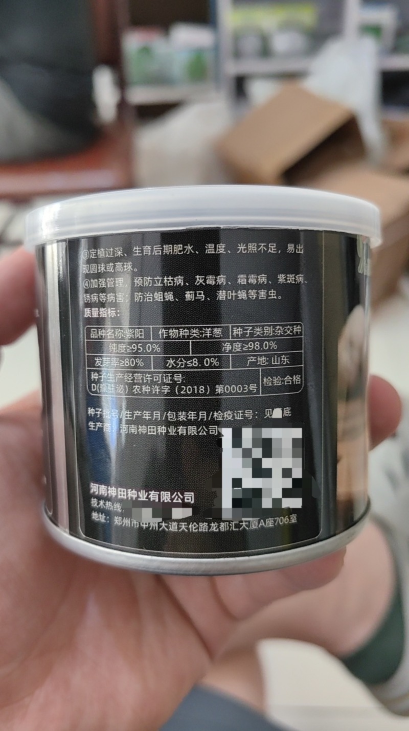 紫阳早熟洋葱种子杂交紫红韩国扁平耐抽苔分球少洋葱葱头种子