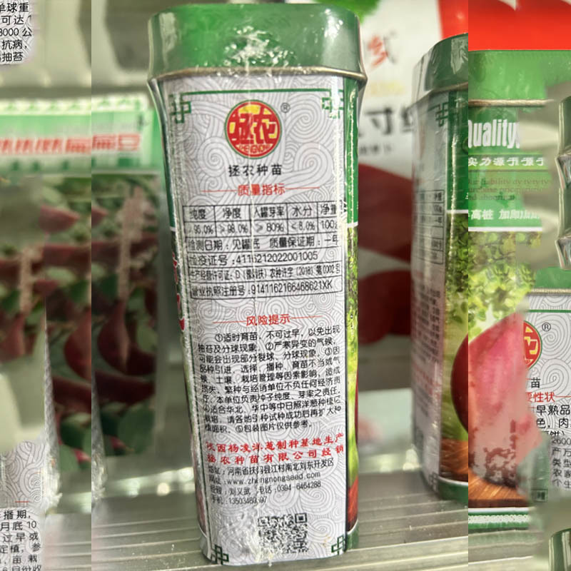 特大抗病早熟半高桩紫红洋葱种子基地品种批发