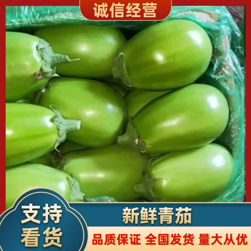 青茄子:质量好，价格优。
