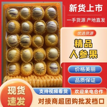 【现摘现发】精选云南石林人参果批发新鲜花纹亮果产地直发
