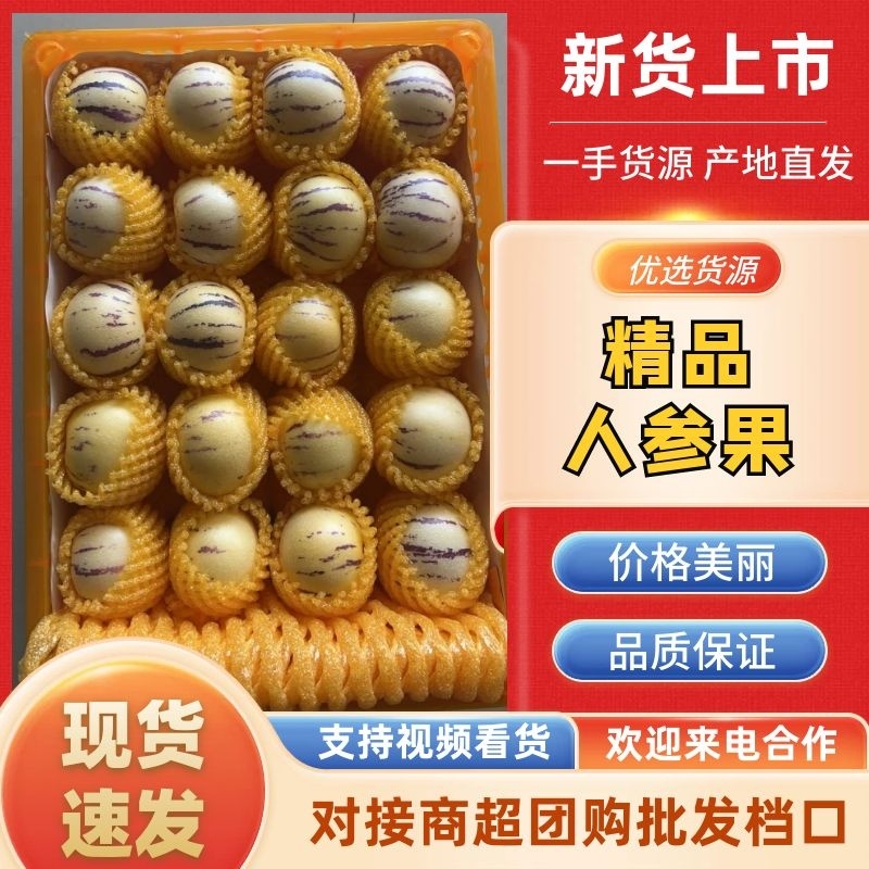 【现摘现发】精选云南石林人参果批发新鲜花纹亮果产地直发