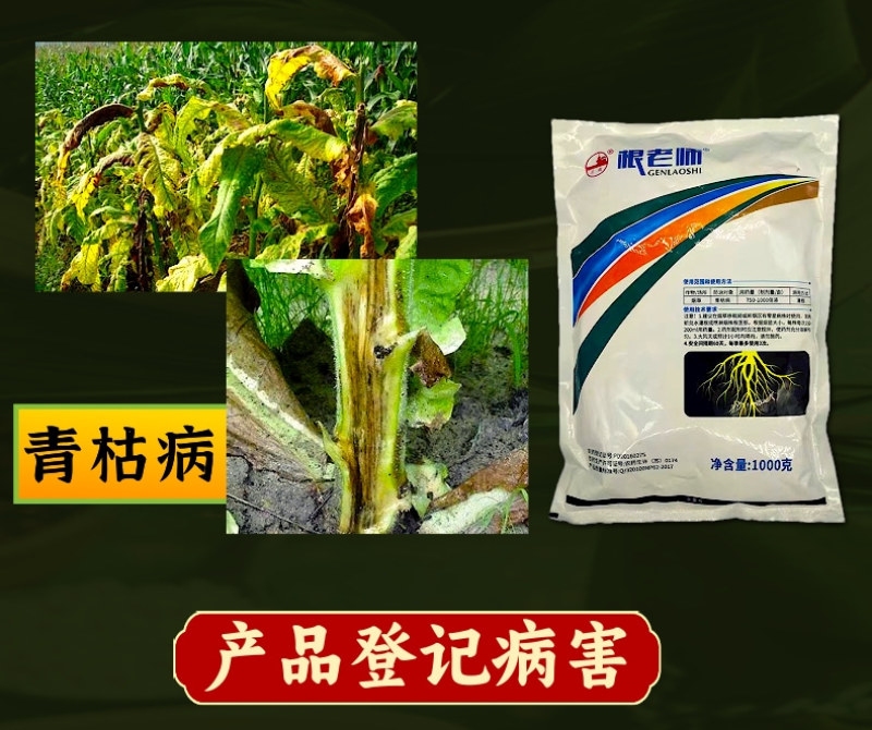卫农根老师52%氯尿硫酸铜青枯病杀菌剂氯溴异氰尿酸硫酸铜