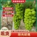 安徽阳光玫瑰晴王供应电商商超市场产地直发