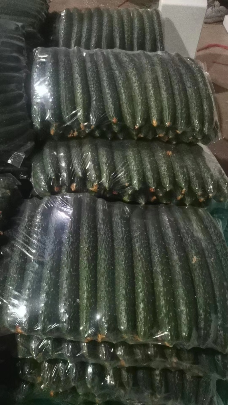 密刺黄瓜，黄瓜，大量上货欢迎电话联系沟通