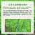 迎春花树苗阳台盆栽庭院常青护坡攀爬藤垂吊绿化植物黄素馨小