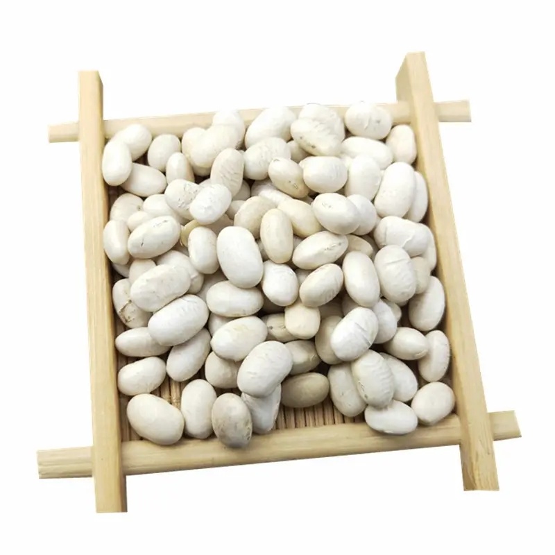 白芸豆白芸豆粉白腰豆