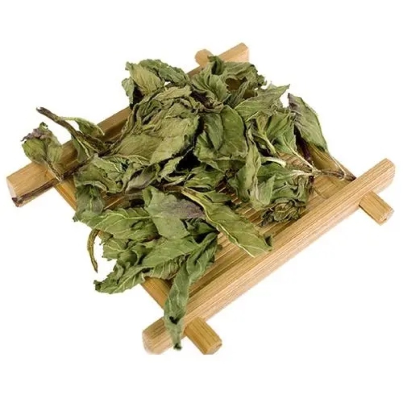 薄荷薄荷粉野薄荷夜息香土薄荷