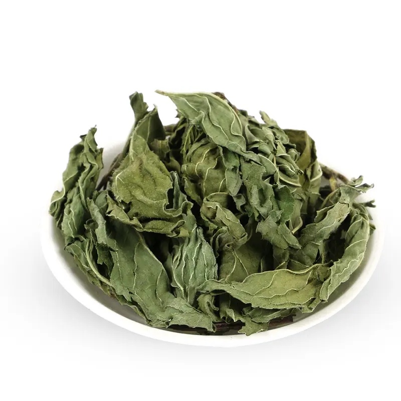 薄荷薄荷粉野薄荷夜息香土薄荷