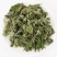 薄荷薄荷粉野薄荷夜息香土薄荷