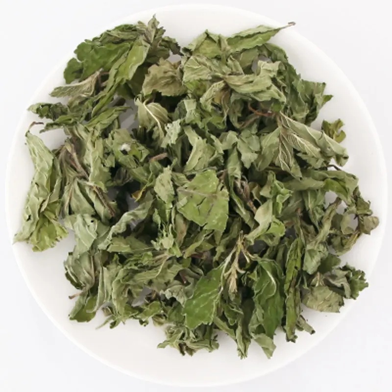 薄荷薄荷粉野薄荷夜息香土薄荷
