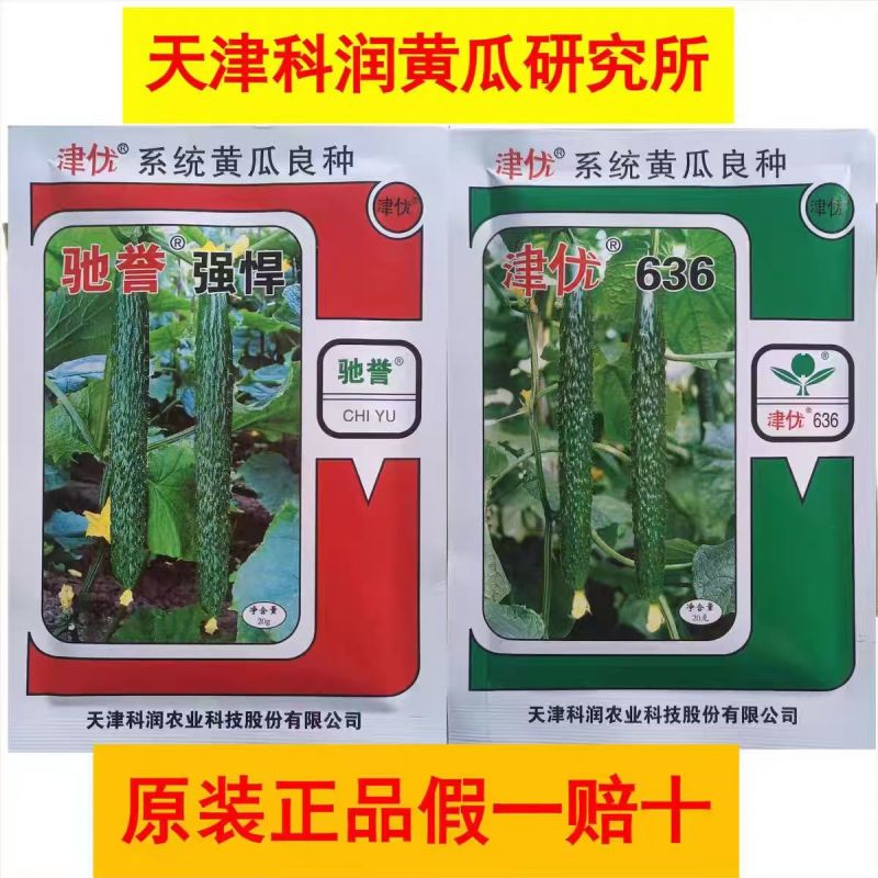 津优密刺黄瓜种子密刺短把瓜条顺直瓜码密果肉淡绿