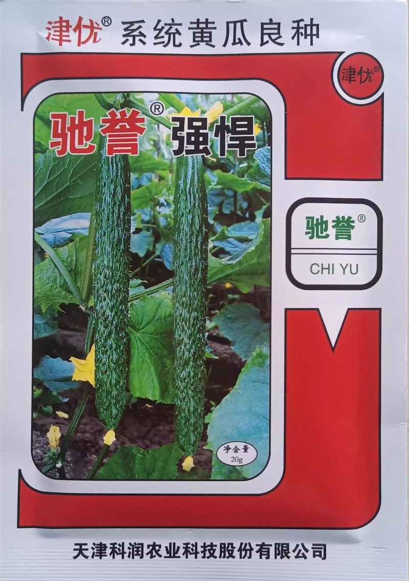 津优密刺黄瓜种子密刺短把瓜条顺直瓜码密果肉淡绿