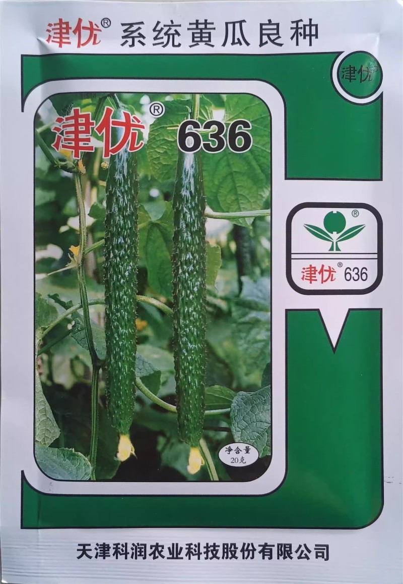 津优密刺黄瓜种子密刺短把瓜条顺直瓜码密果肉淡绿