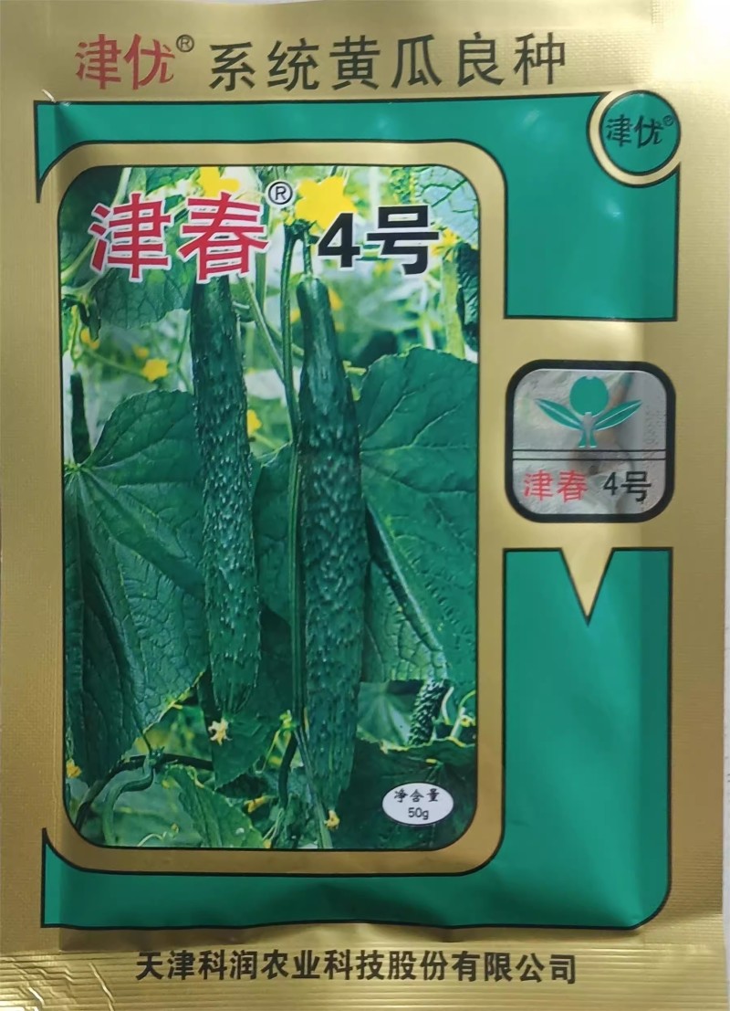 津春4号黄瓜种子密刺有瘤瓜条深绿肉质脆抗病