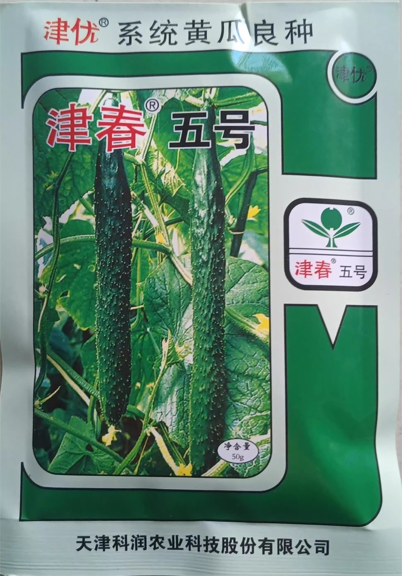 津春4号黄瓜种子密刺有瘤瓜条深绿肉质脆抗病