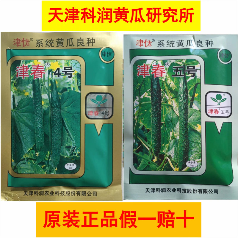 津春4号黄瓜种子密刺有瘤瓜条深绿肉质脆抗病