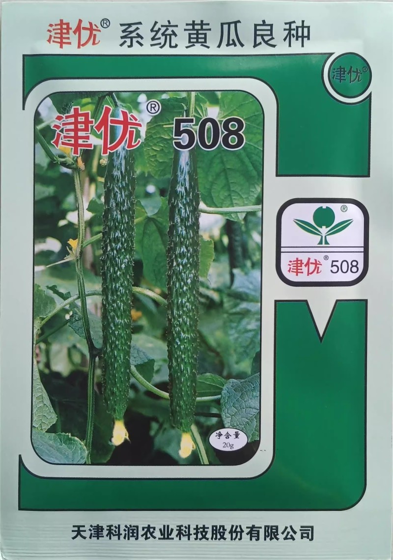 津优509黄瓜种子强雌油亮密刺小瘤短把瓜条顺直