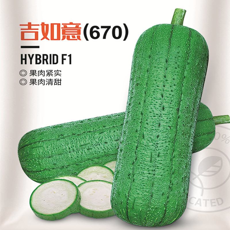 吉如意短丝瓜种籽台湾肉丝瓜粗皮耐热春秋超玉丰耐运输味甜菜