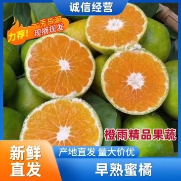 《湖北蜜橘》精品橘子产地直发-大量供应.电商市场商超货源