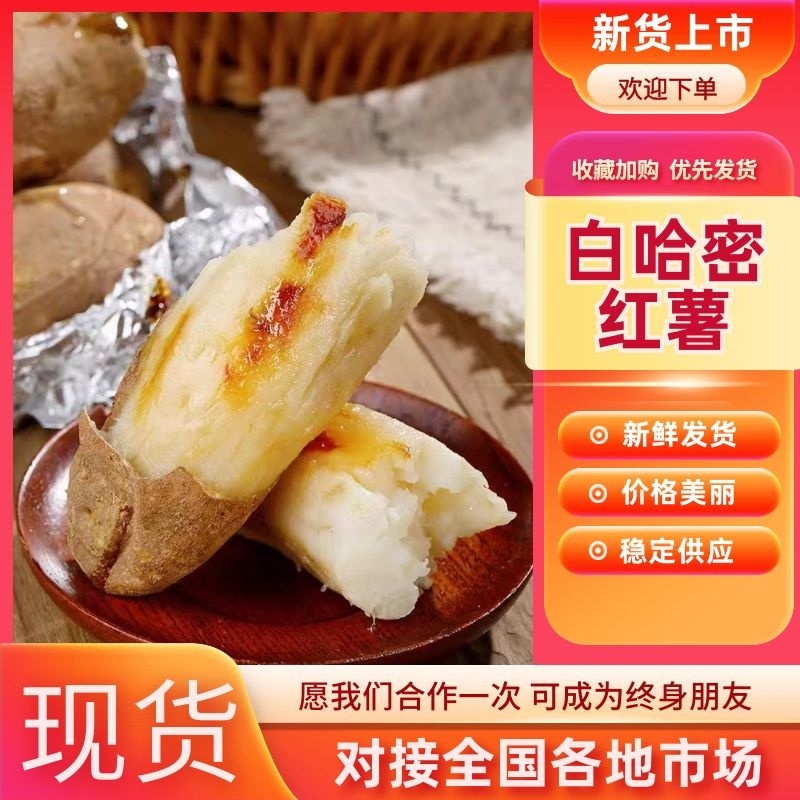 白哈密红薯口感好个头均匀量大价优品质保障欢迎选购