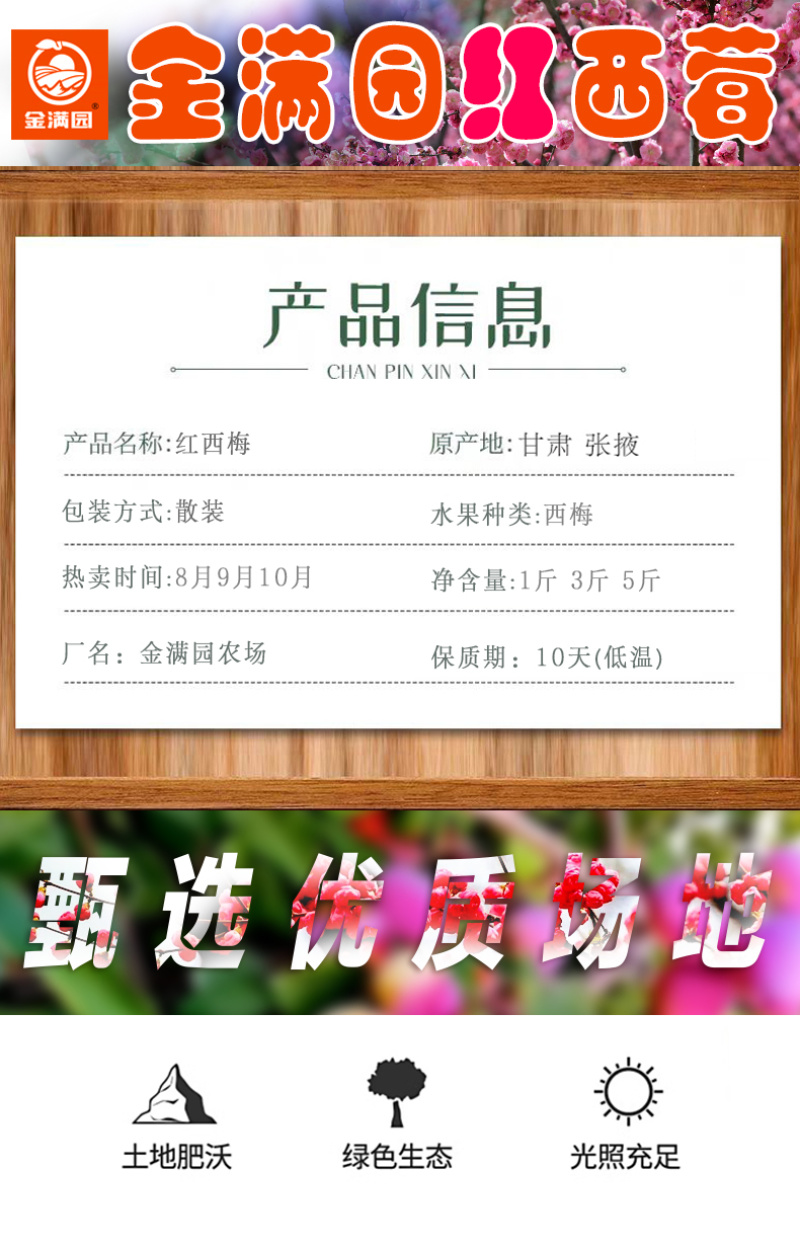 甘肃金满园精品现摘西梅