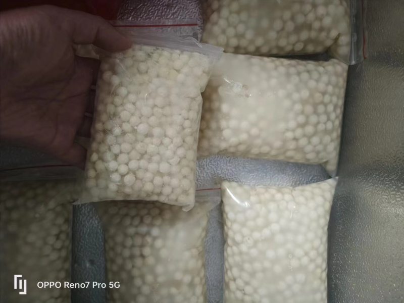 精品干鸡头米芡实米大量上市品质保证产地直发