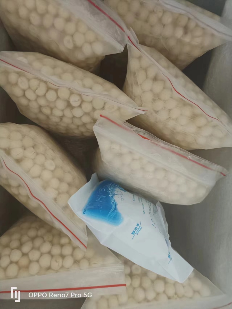 精品干鸡头米芡实米大量上市品质保证产地直发