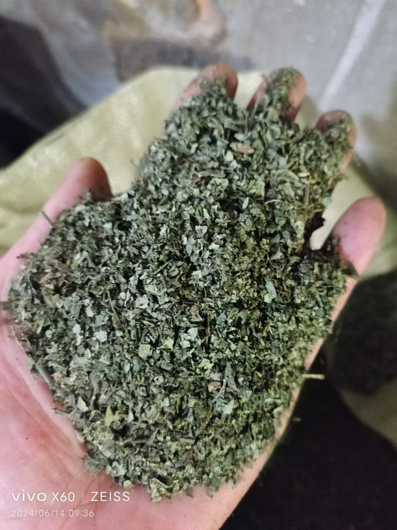 花椒叶子基地直发货源充足质美价优支持零售/批发电联