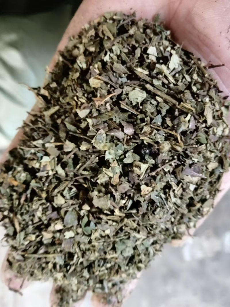 花椒叶子基地直发货源充足质美价优支持零售/批发电联