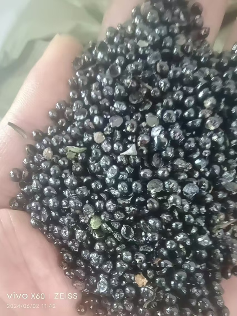 花椒叶子基地直发货源充足质美价优支持零售/批发电联