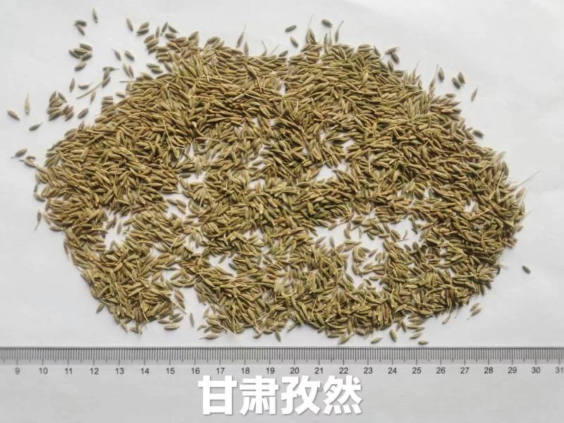 [标题]一级新疆孜然