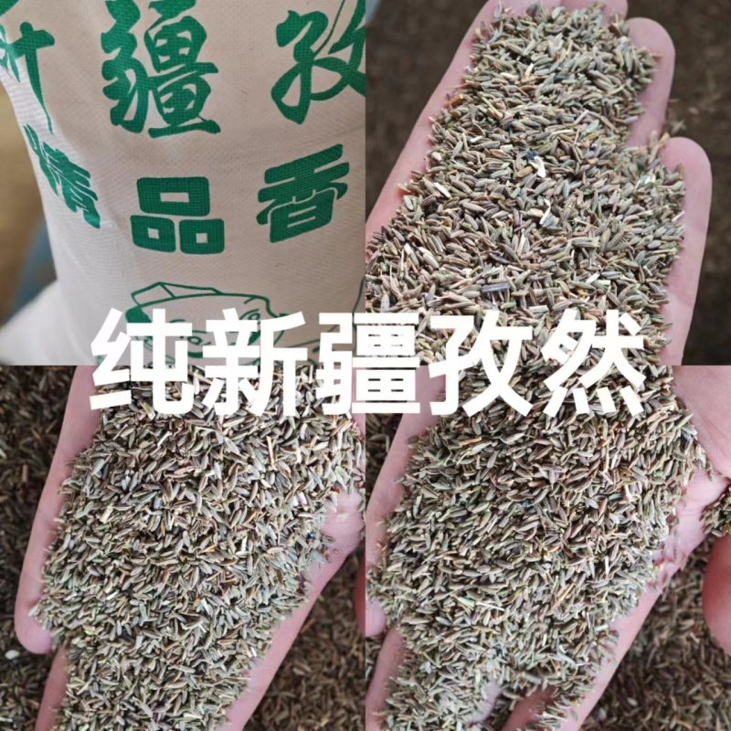 [标题]一级新疆孜然