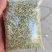 国产特绿小茴香大量有货价格优惠欢迎电联